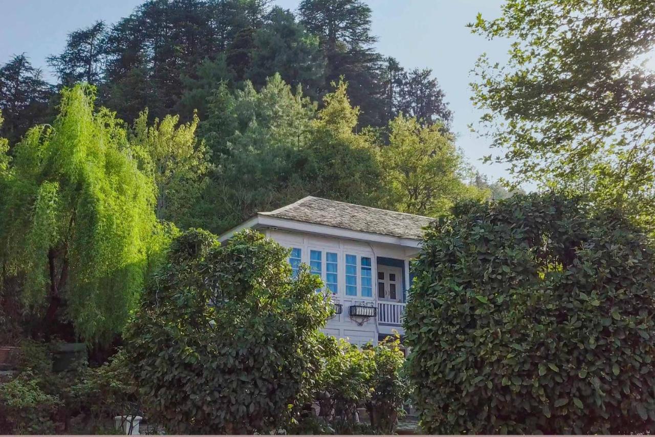 Stayvista At Violet Hill With Bonfire, Gazebo & Hill View Shimla Exterior photo